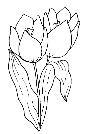 kwiaty - tulipany.gif