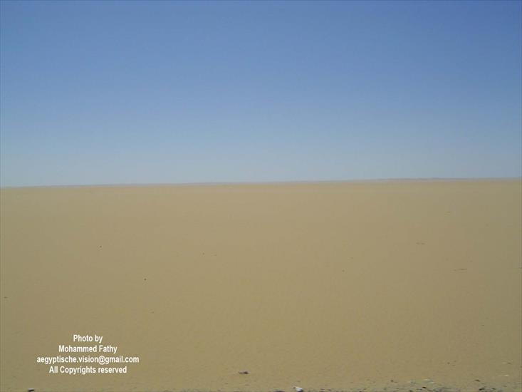 Desert - Desert 84.jpg
