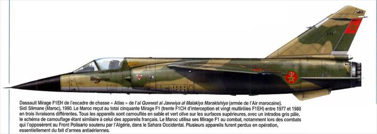 Dassault - Dassault Mirage F-1EH.bmp