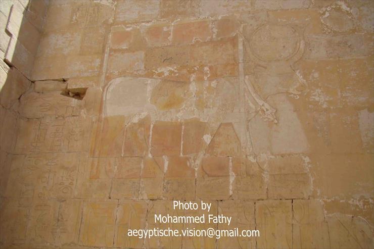 Świątynia w Hatshepsut - Świątynia w Hatshepsut 56.jpg