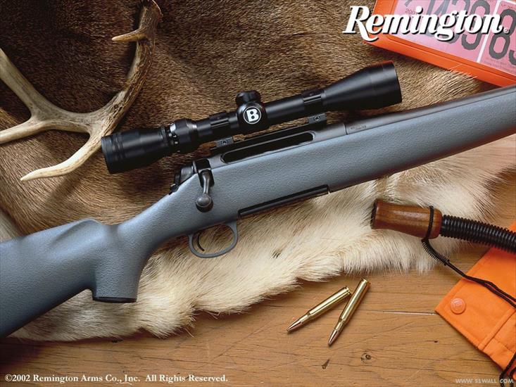 Guns 3 - remington_21.jpg